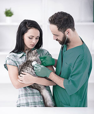Veterinary Support Services